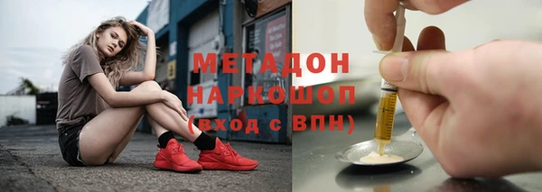 прущие грибы Абинск