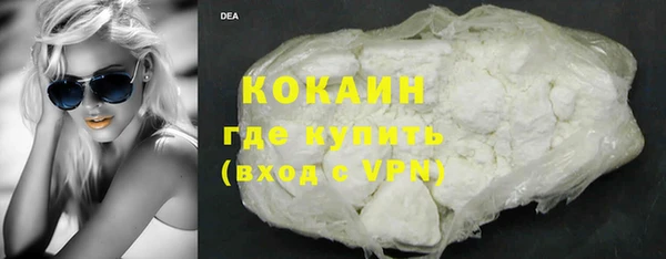 прущие грибы Абинск