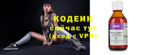 прущие грибы Абинск